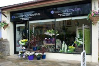 Vanda Flowers 286564 Image 1